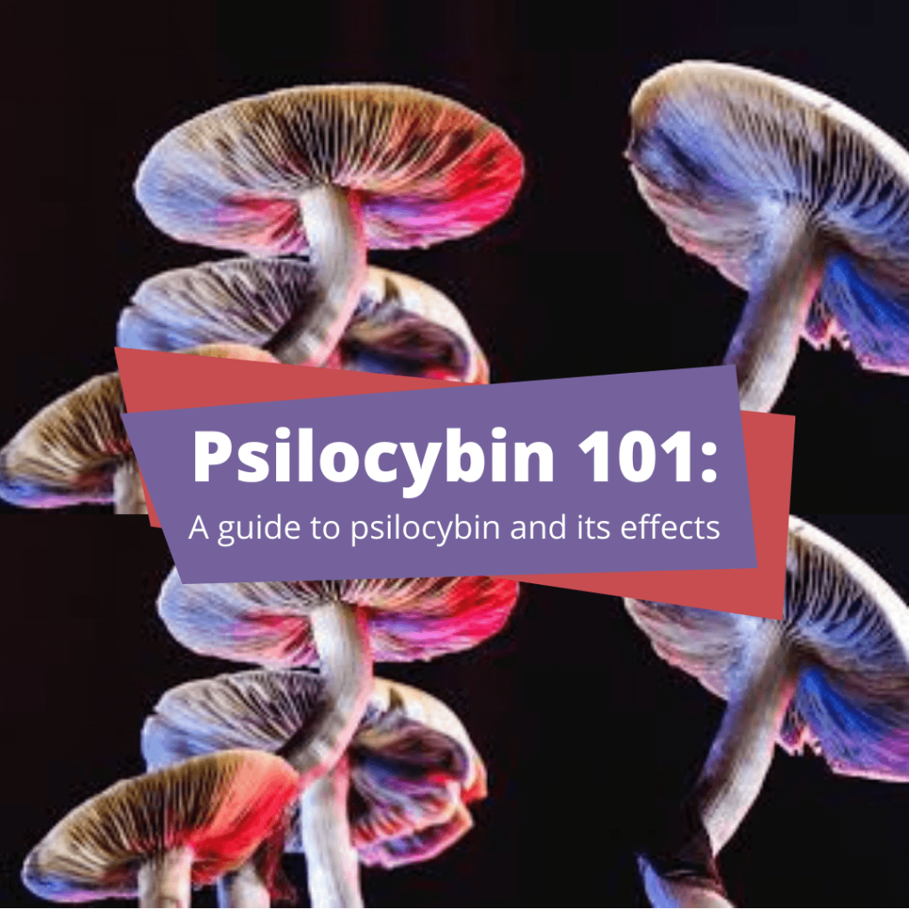 psilocybin and its effects