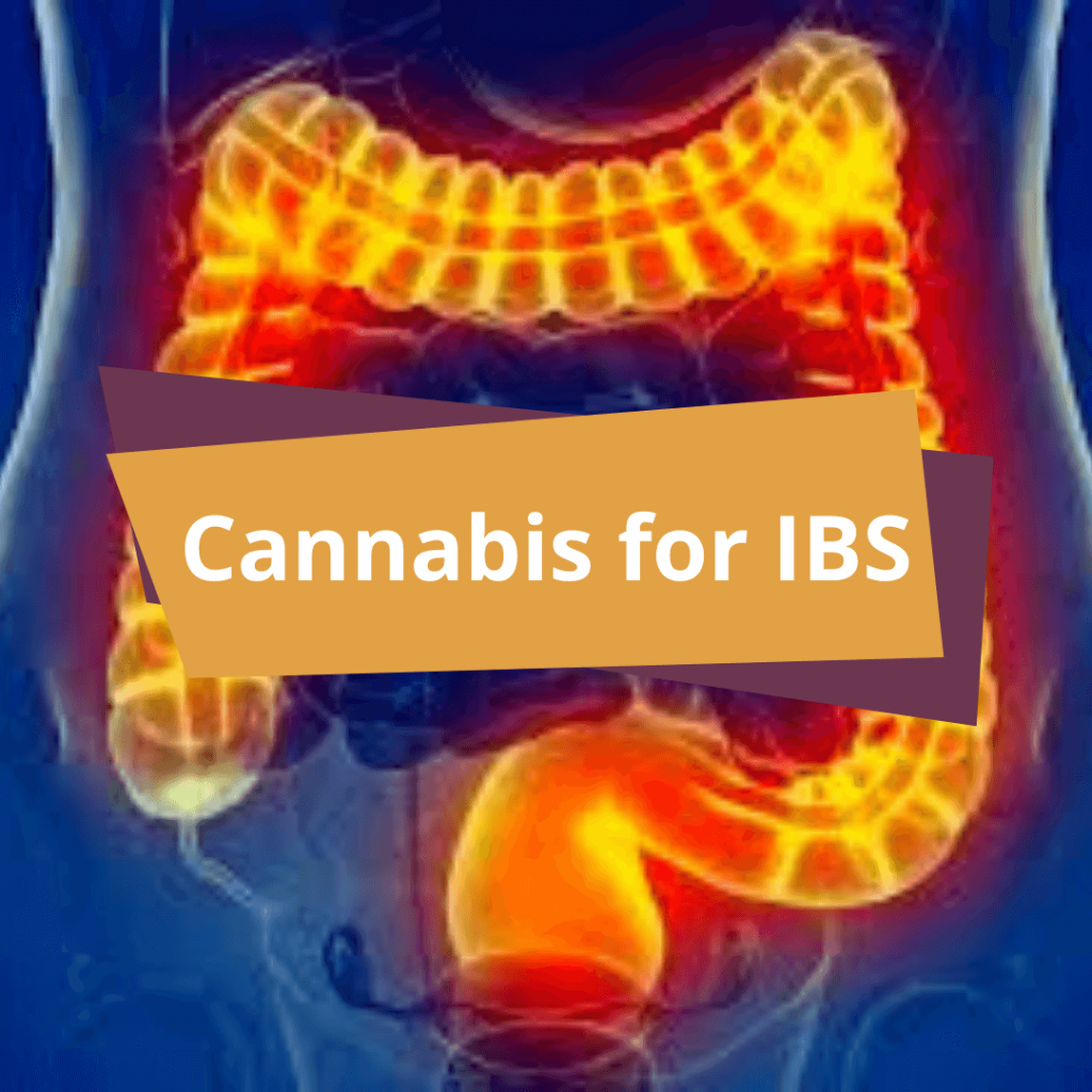 Cannabis and treating Irritable Bowel Syndrome