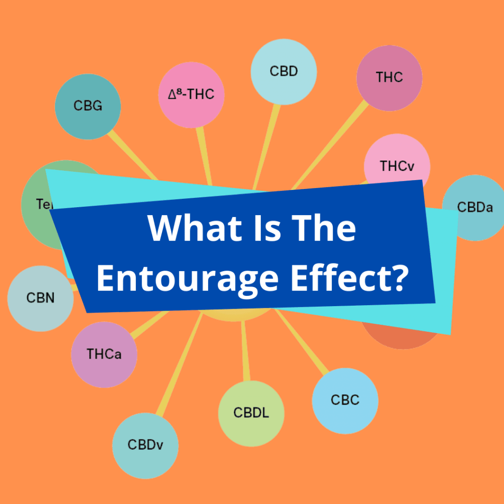 What is the entourge effect?