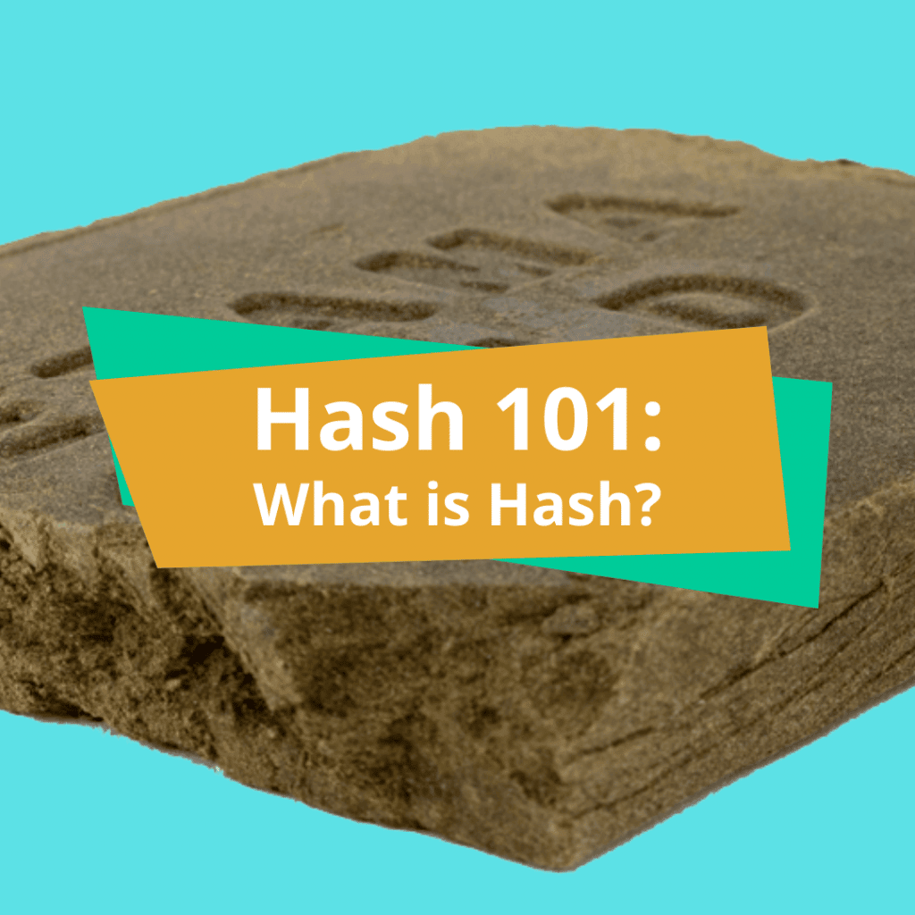 What is Hash? What is Hashish?