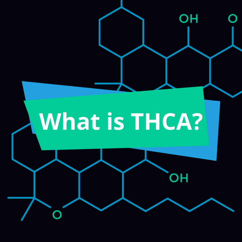 THCA Tetrahydrocannabinolic acid
