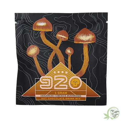 Mushroom Hot Chocolate by Room 920