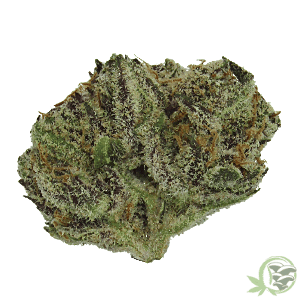 Blackberry Cream is an indica dominant hybrid cannabis strain