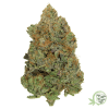 The best online dispensary for weed in Canada.