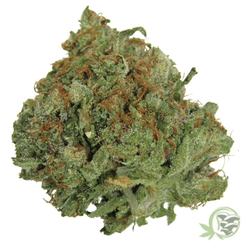 The best online dispensary for weed in Canada.
