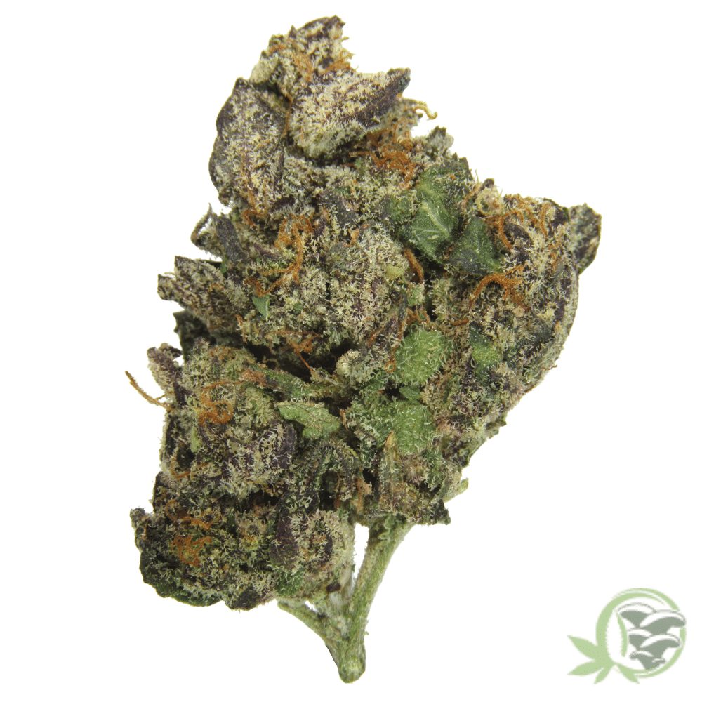 The best weed available onlin ein Canada is from SacredMeds online dispensary.