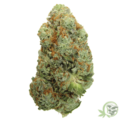 The best weed available in Canada from an online dispensary.