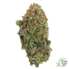 The best weed available online in Canada from an online dispensary.