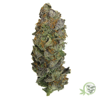 The best weed available online in Canada from an online dispensary.