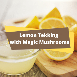 Lemon Tekking information on how to increase potency of magic Mushrooms