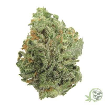 Cement Shoes is an Indica-dominant hybrid strain (60% indica/40% sativa) created through a crossing Animal Cookies 09 X OG Kush Breath X Wet Dream strains.