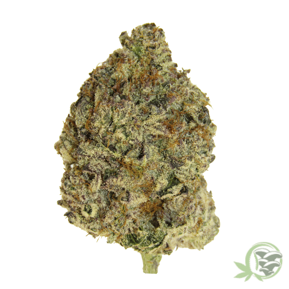 SacredMeds online dispensary is where to buy the best cannabis in Canada, such as Dark Matter strain.
