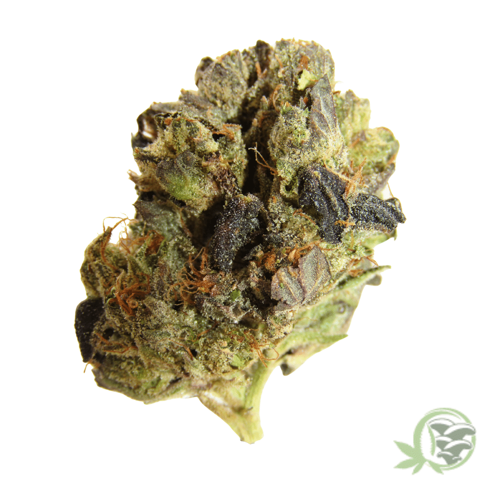 Buy Death Bubba Kush online in Canada.