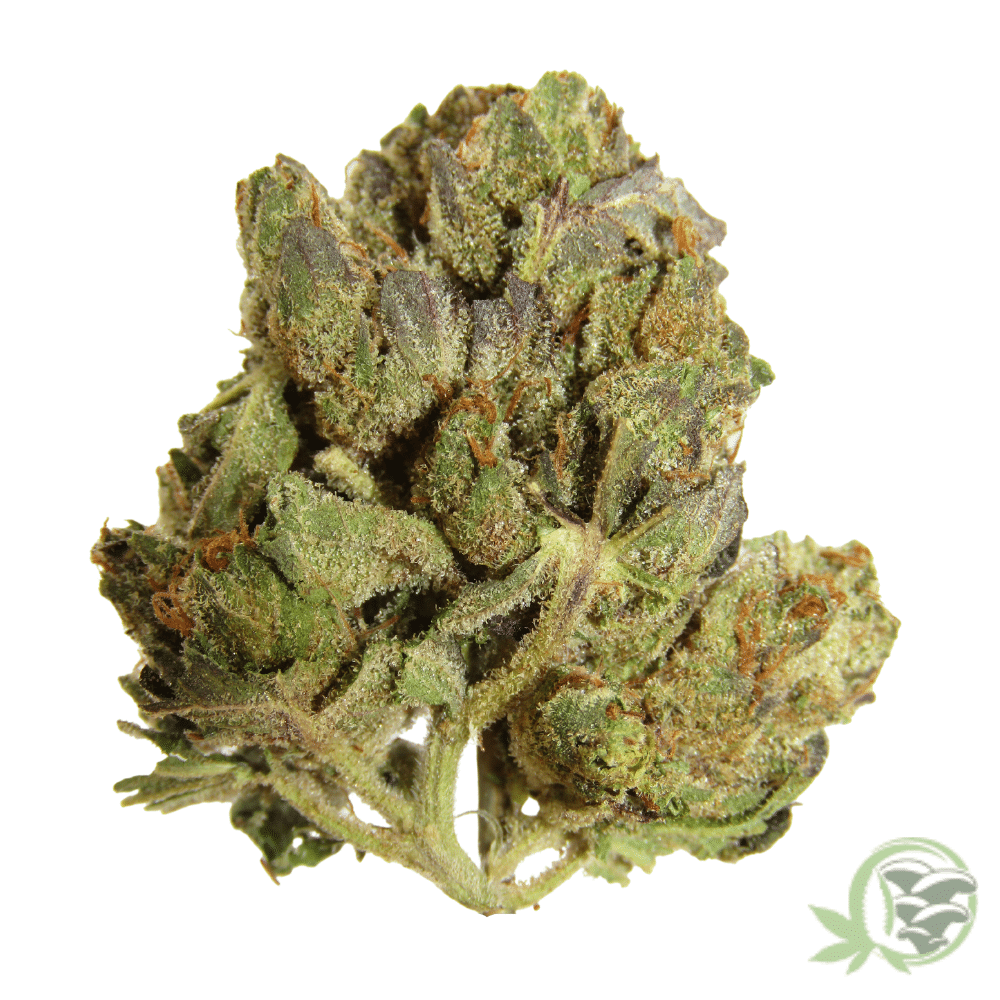 Buy Death Bubba Kush online in Canada.