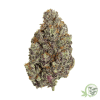 Buy Cannabis online in Canada like White Cherry Truffle Hybrid strain.