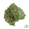 Buy the best Weed online in Canada just like this Blueberry Skunk (Smalls) strain.