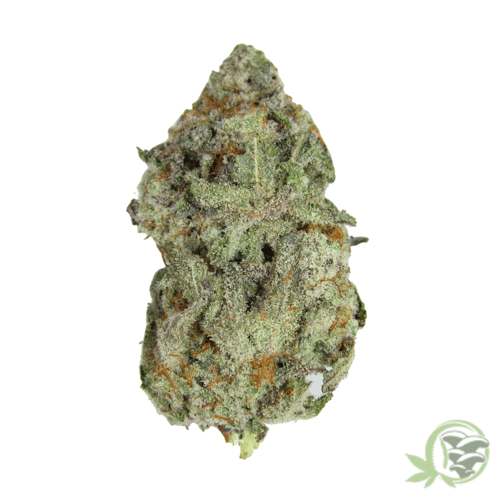 Buy the best Weed in Canada just like this Gelato strain.