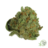 Buy the best Weed online in Canada just like this Lemon Thai Marijuana strain.