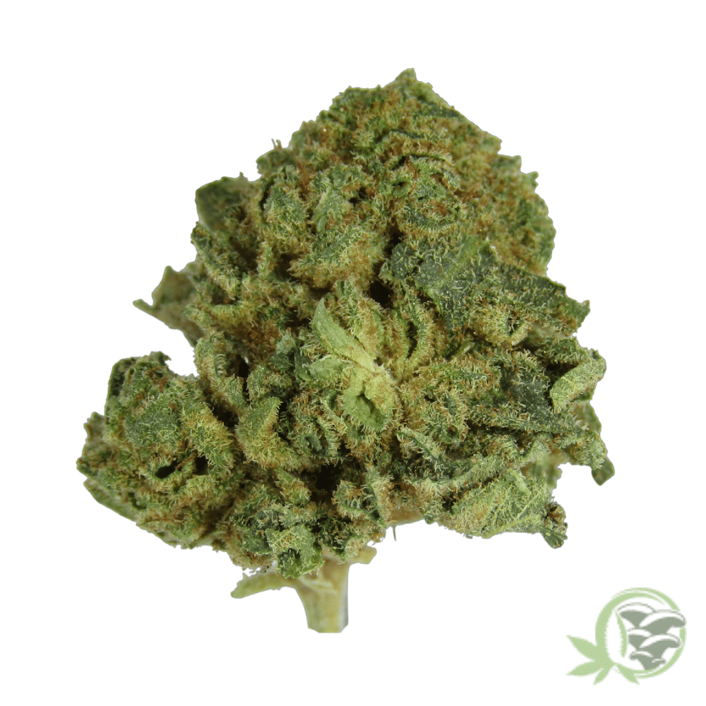Buy the best Weed online in Canada just like this OG Kush Marijuana strain.