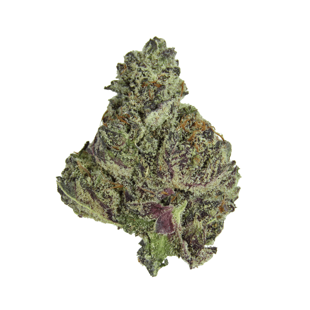 Buy the best Weed online in Canada just like this White Cherry Truffle.