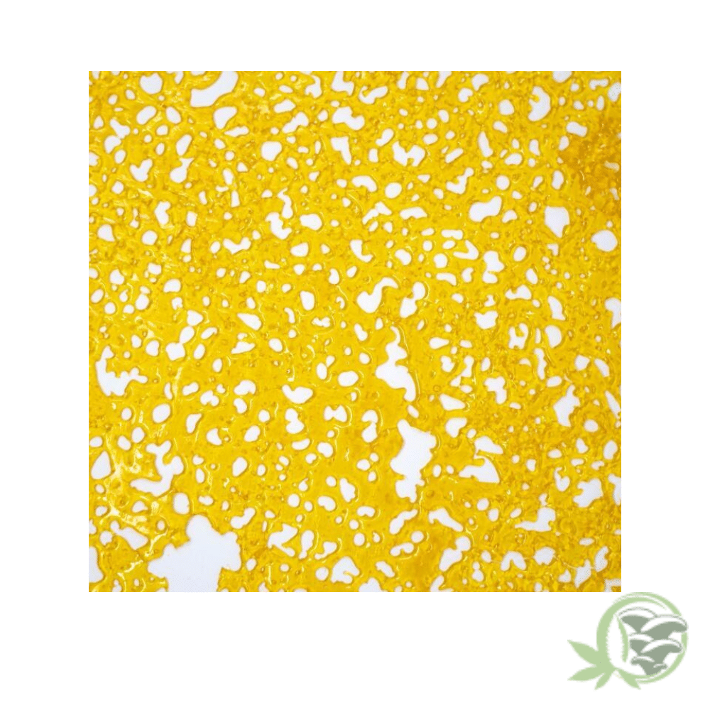 Gold Standard Extracts Premium Shatter is now available from SacredMeds Online Canadian Dispensary.