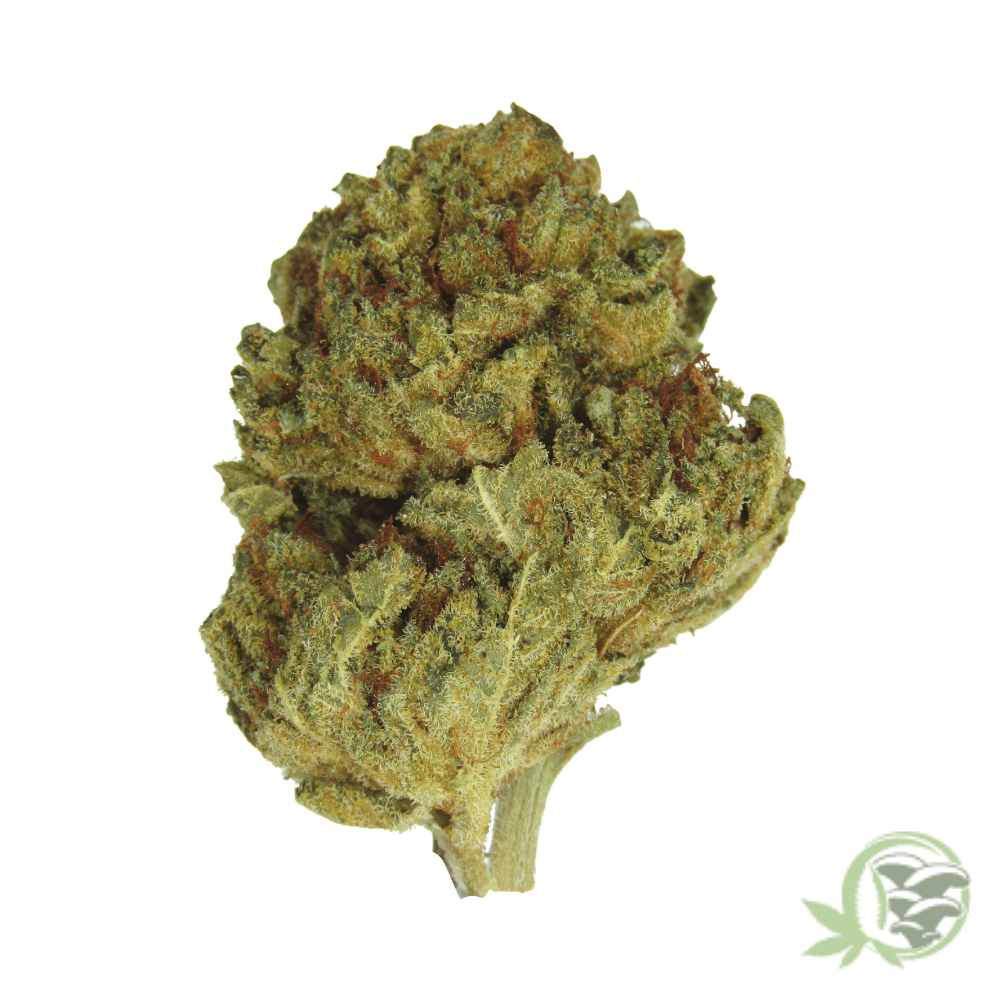 Buy the best Weed online in Canada from SacredMeds online dispensary.