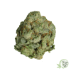 The best online dispensary in Canada for Marijuana.