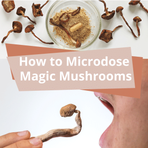 How to Microdose Magic Mushrooms informative article.